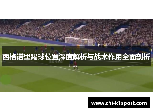 西格诺里踢球位置深度解析与战术作用全面剖析