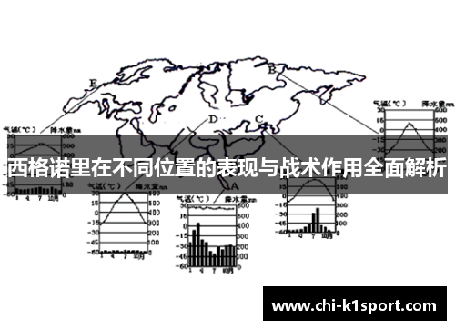 西格诺里在不同位置的表现与战术作用全面解析