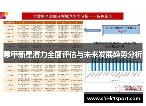 意甲新星潜力全面评估与未来发展趋势分析