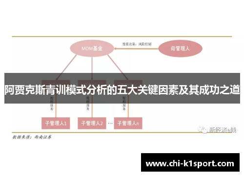 阿贾克斯青训模式分析的五大关键因素及其成功之道