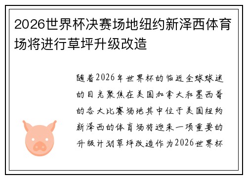 2026世界杯决赛场地纽约新泽西体育场将进行草坪升级改造