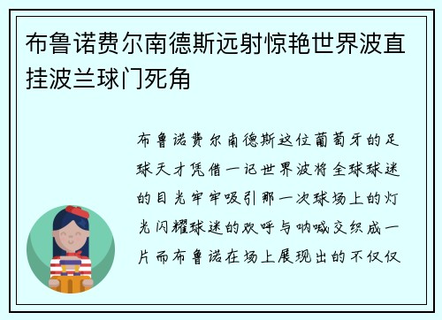布鲁诺费尔南德斯远射惊艳世界波直挂波兰球门死角